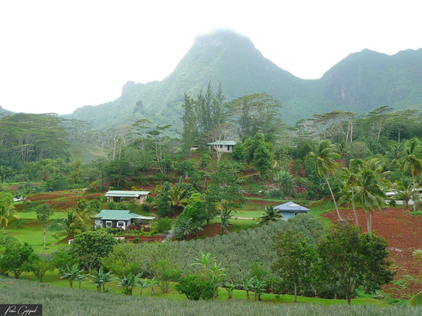 Maisons et cultures dans une vallée tropicale entourée de montagnes