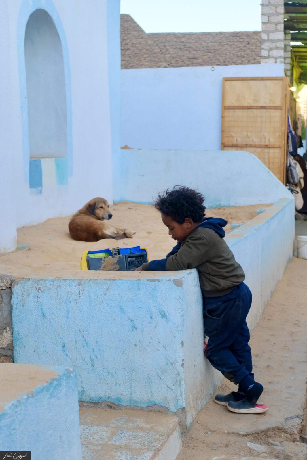 Enfant jouant près d’un chien dans une ruelle aux murs bleus