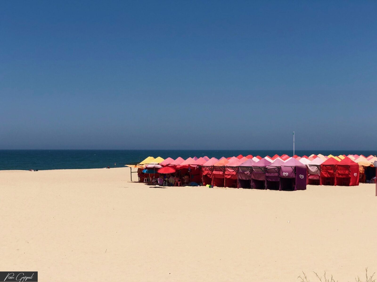 Rangée de parasols rouges sur le sable face à la mer