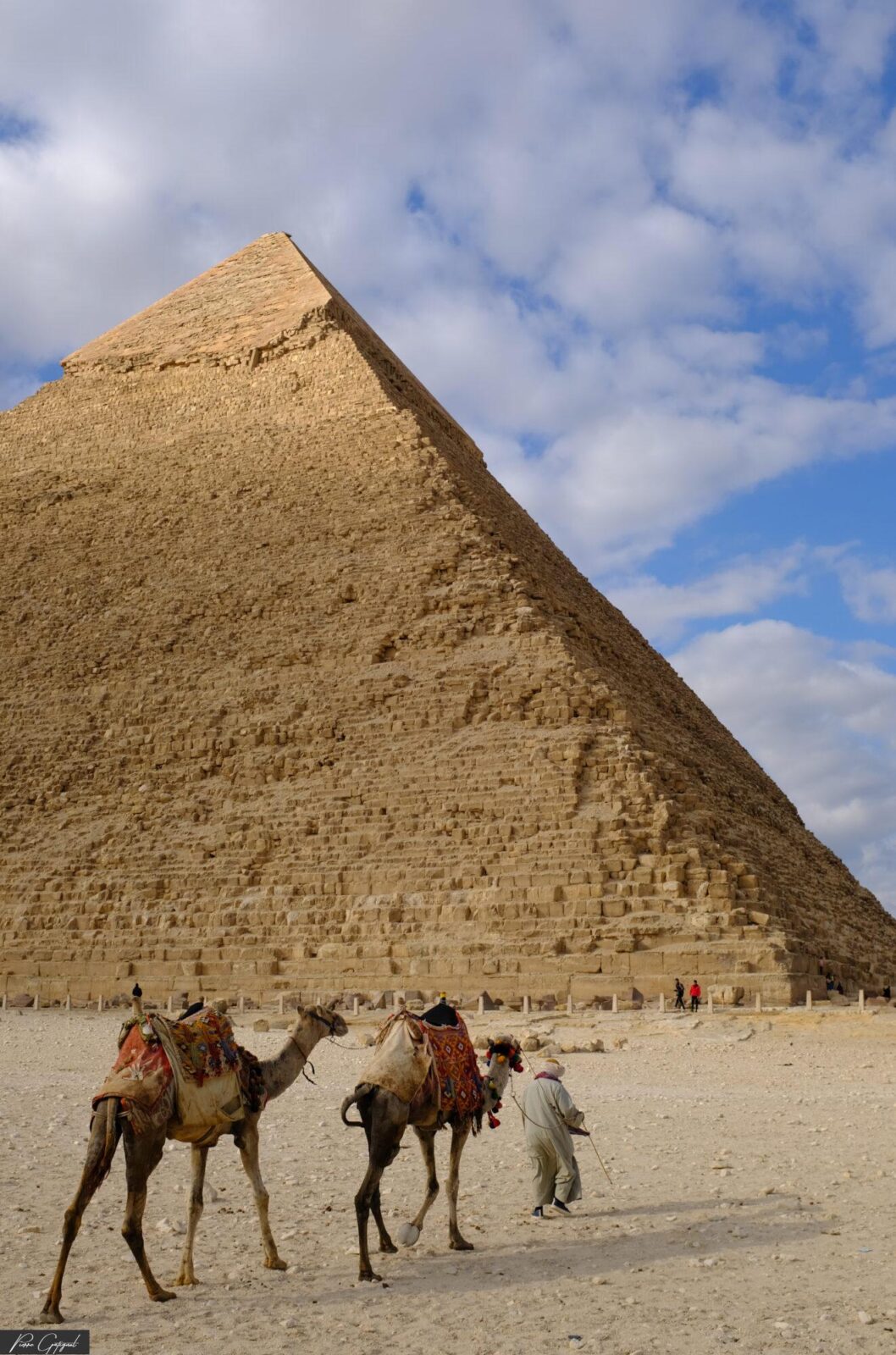 Deux chameaux devant une grande pyramide sous un ciel nuageux