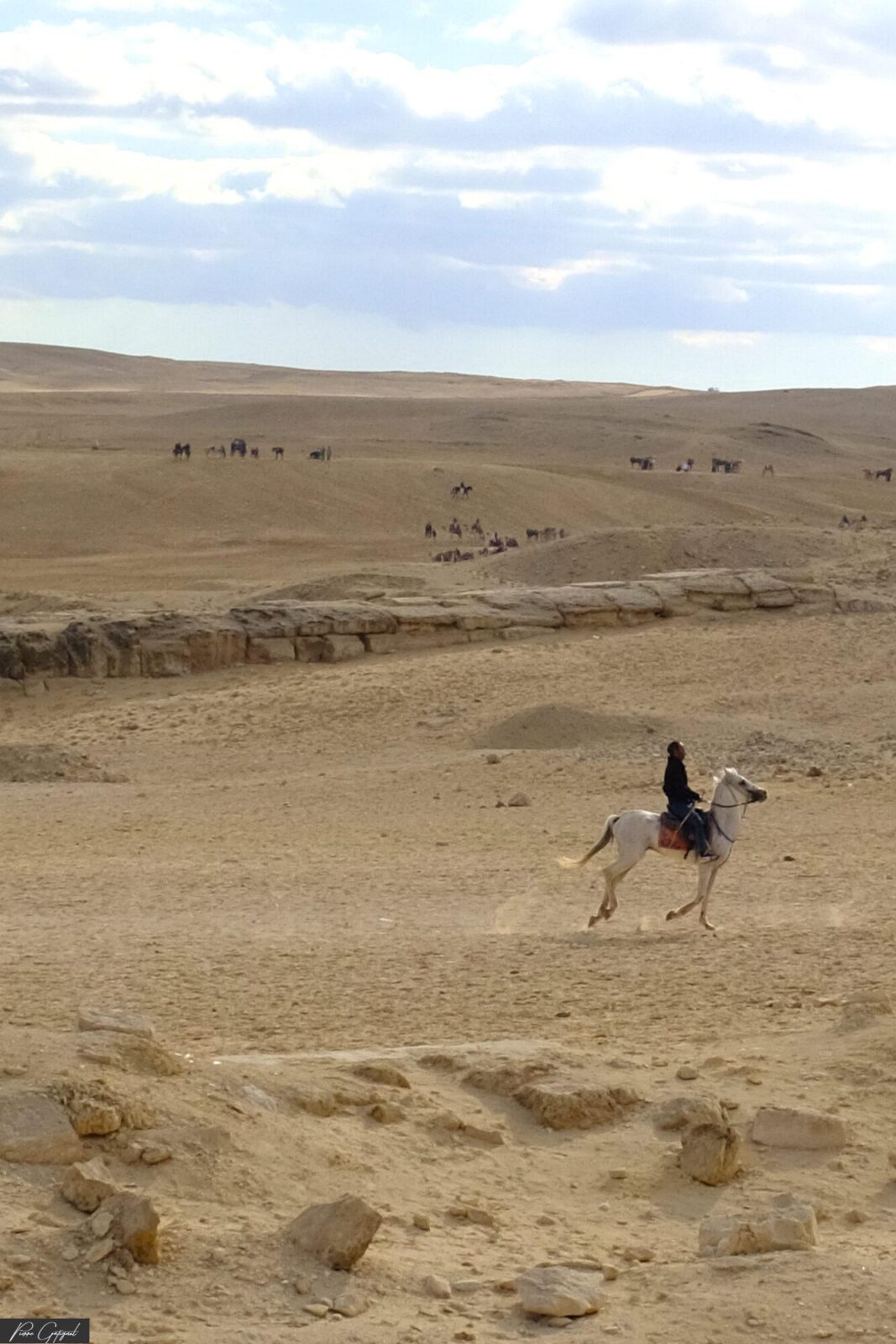 Cavalier sur un cheval blanc dans un paysage désertique