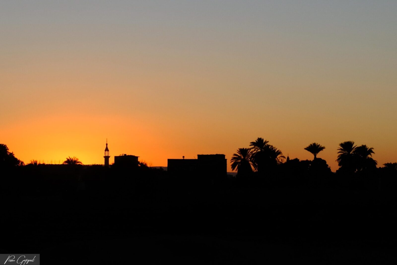 Silhouette de palmiers et bâtiments au coucher du soleil