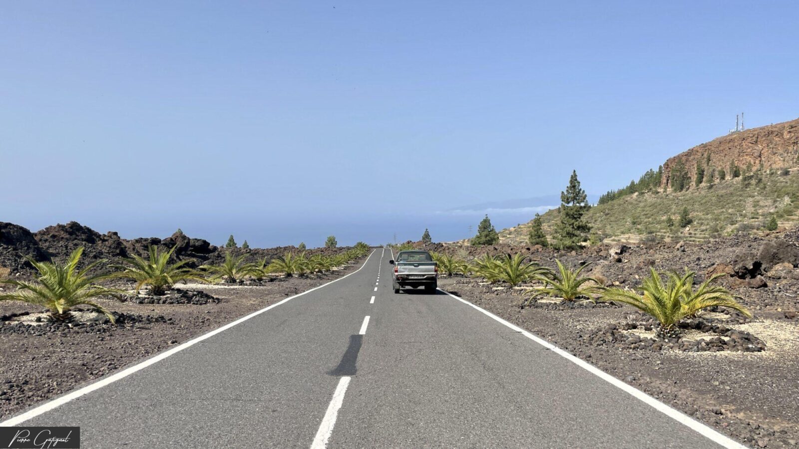 Voiture sur une route bordée de roches noires et de palmiers