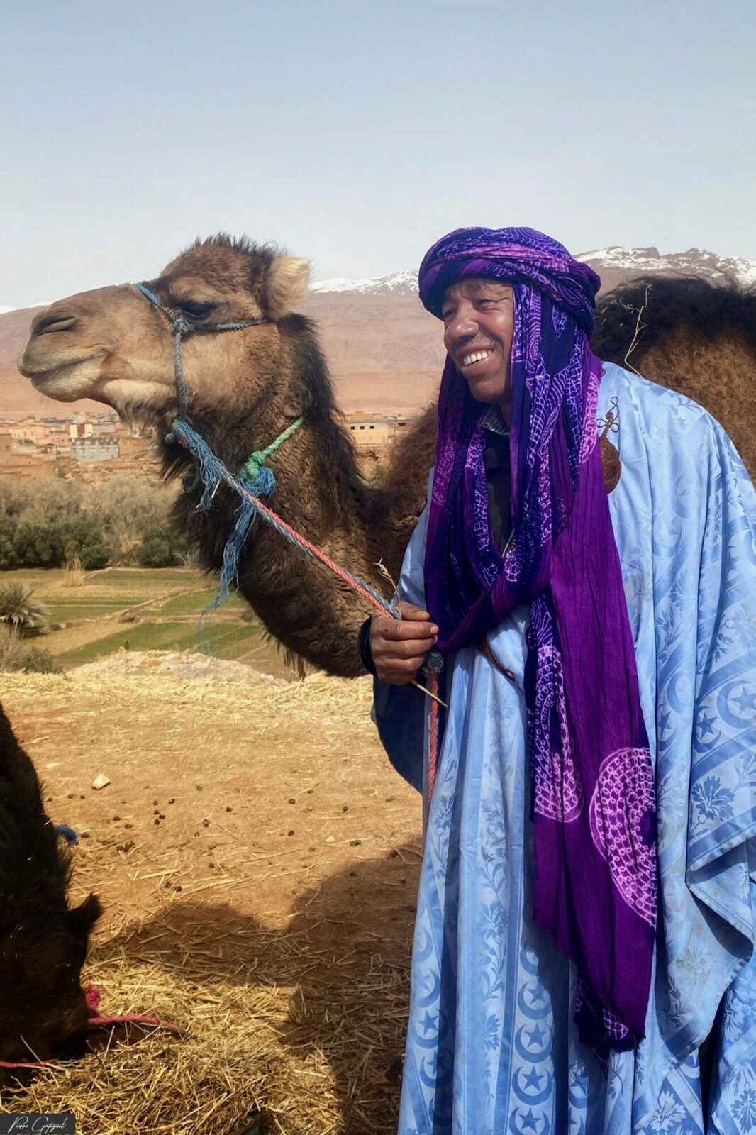 Homme souriant en tenue bleue tenant un chameau