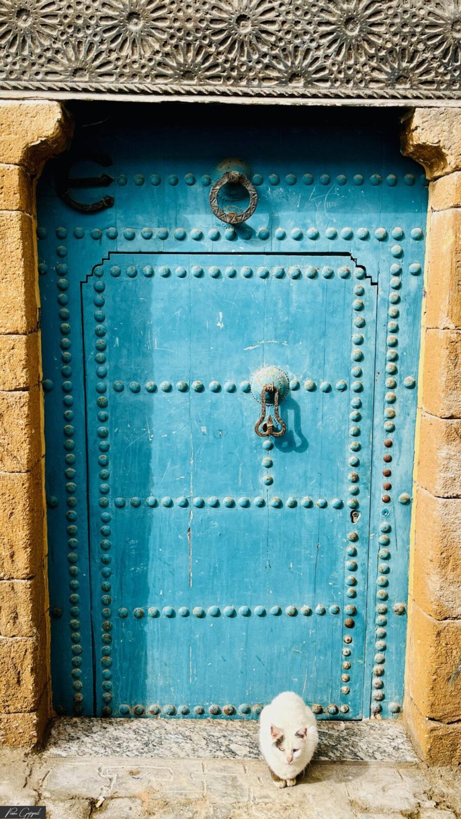 Porte bleue cloutée encadrée de pierre, avec chat blanc