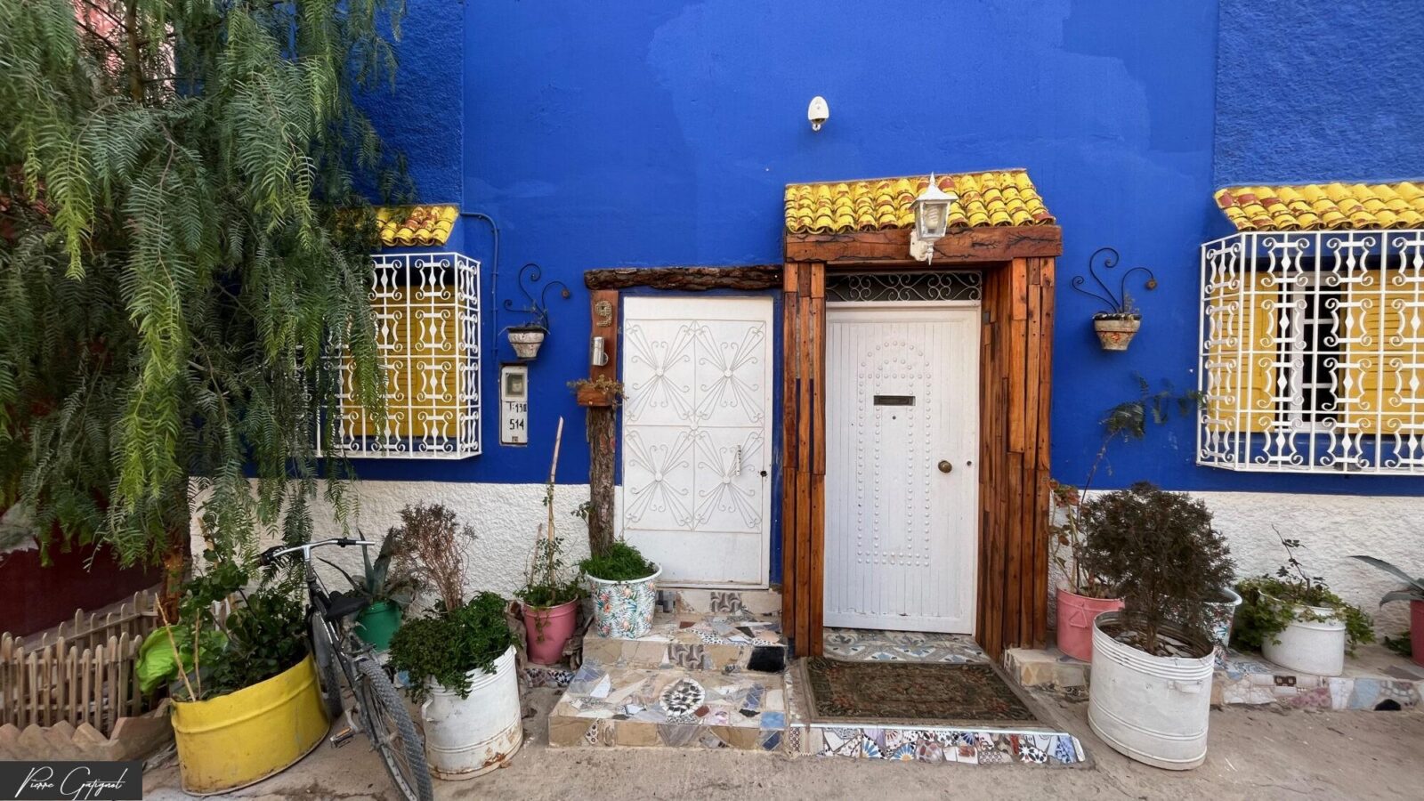 Façade bleue avec deux portes et plantes en pots
