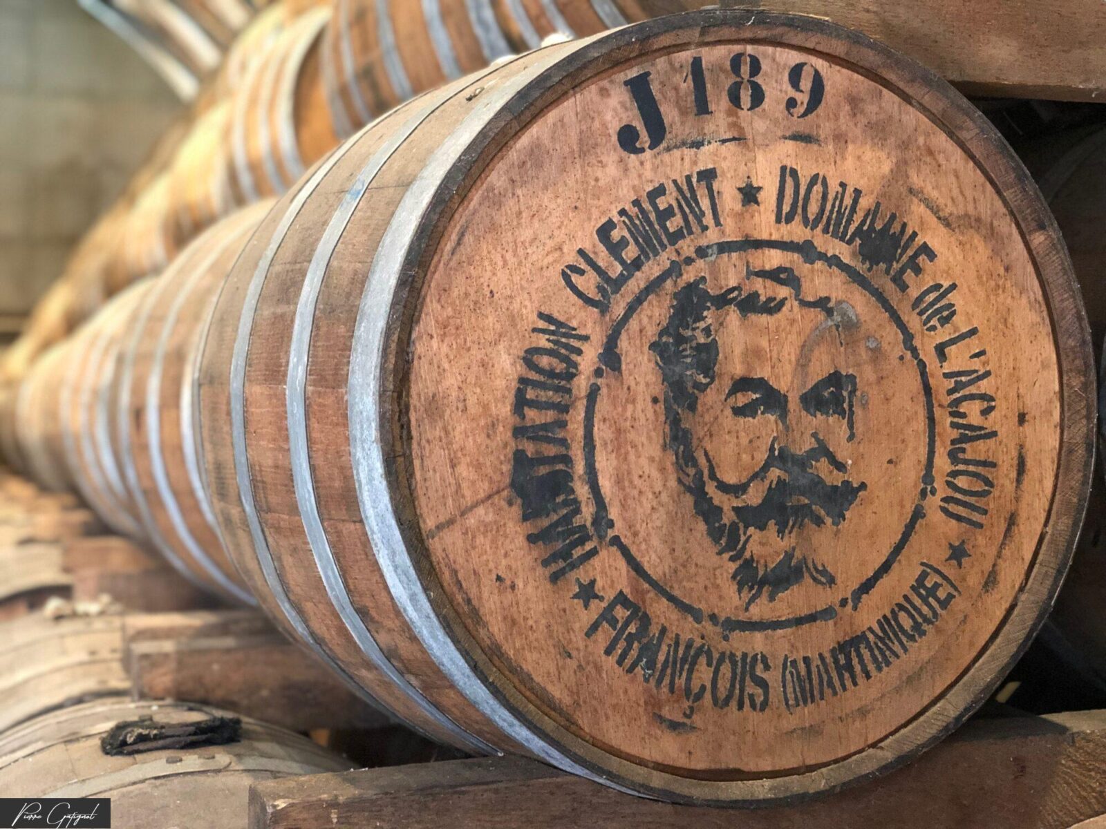 Fûts de rhum alignés dans une distillerie en Martinique