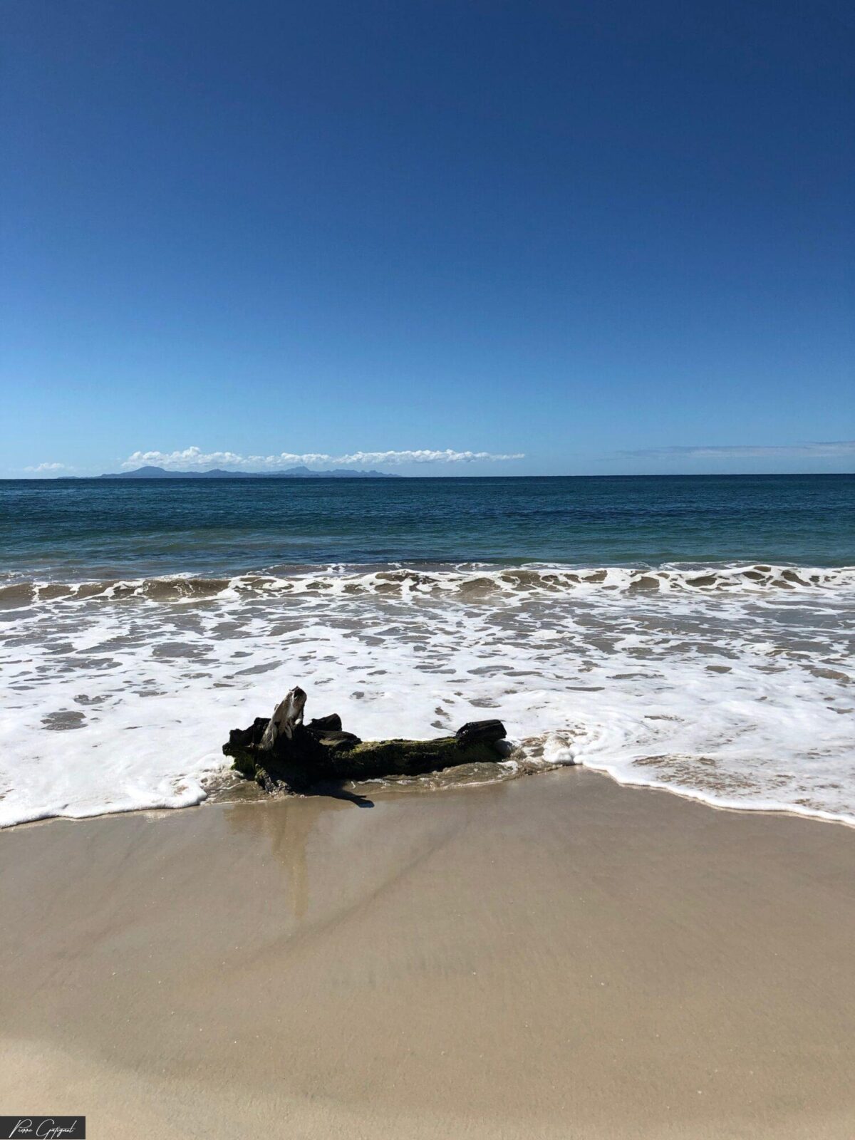 Bois flotté sur le sable face aux vagues