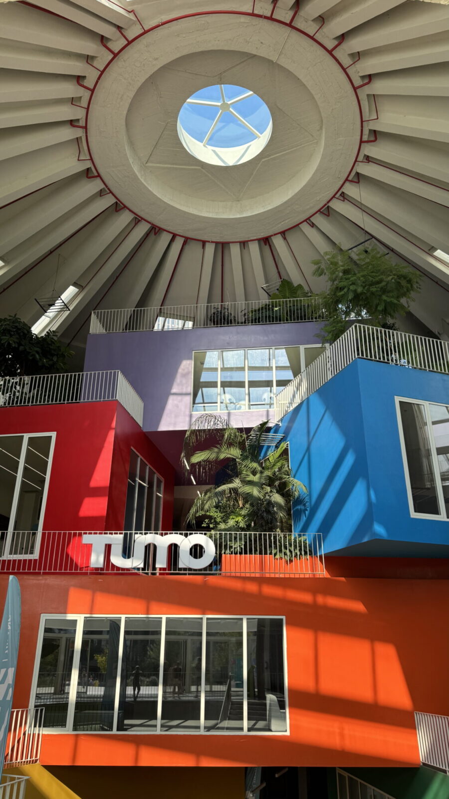 Intérieur coloré avec puits de lumière circulaire et végétation