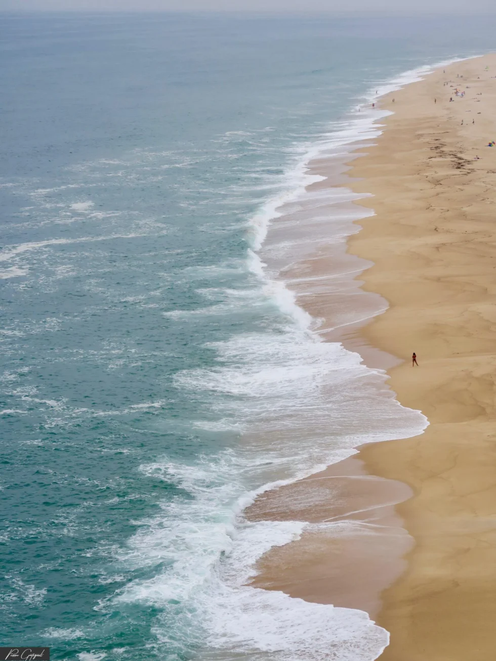 Visuel représentant le travail du photographe Pierre Gatignol