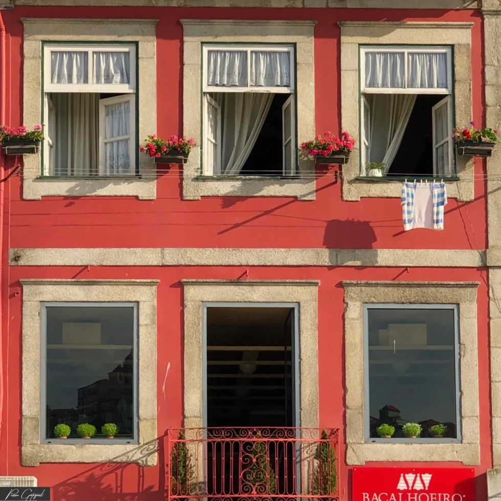 Visuel du site de Pierre Gatignol, photographe à Vichy