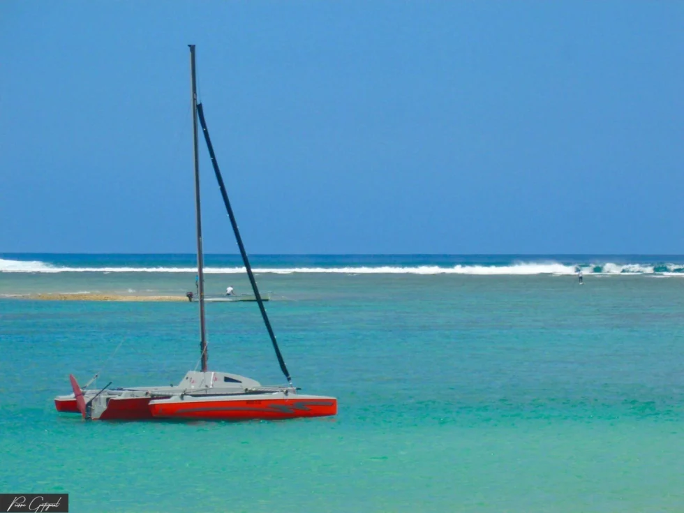 Scène de reportage à l’île Maurice