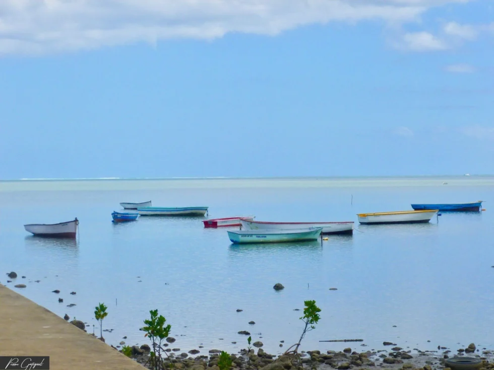 Vue d’ensemble à l’île Maurice
