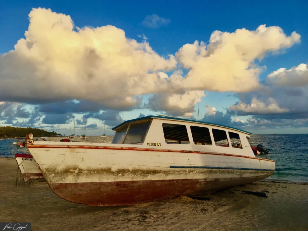 Instant capturé à l’île Maurice
