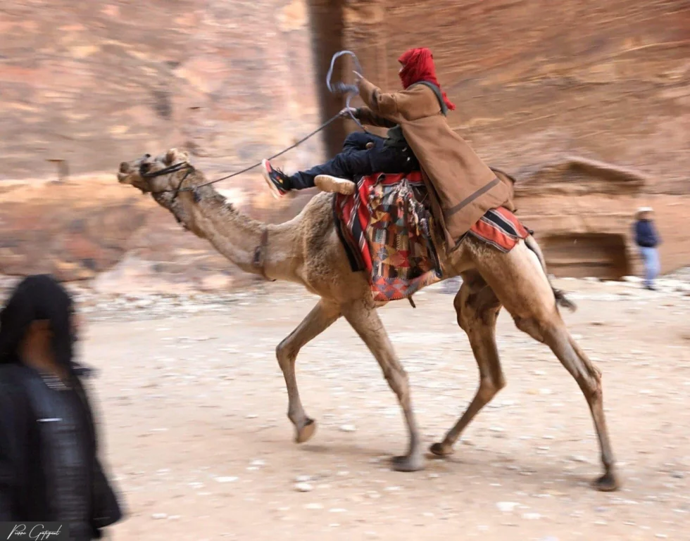 Vue captée lors d’un reportage en Jordanie