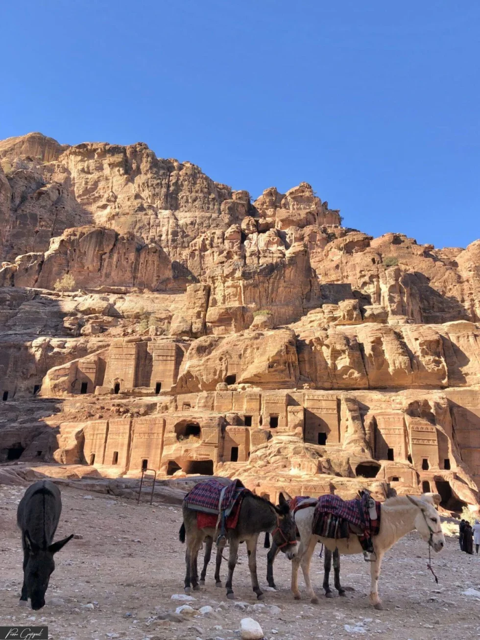 Instant de voyage photographié en Jordanie