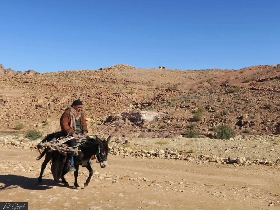 Paysage ou scène de voyage en Jordanie