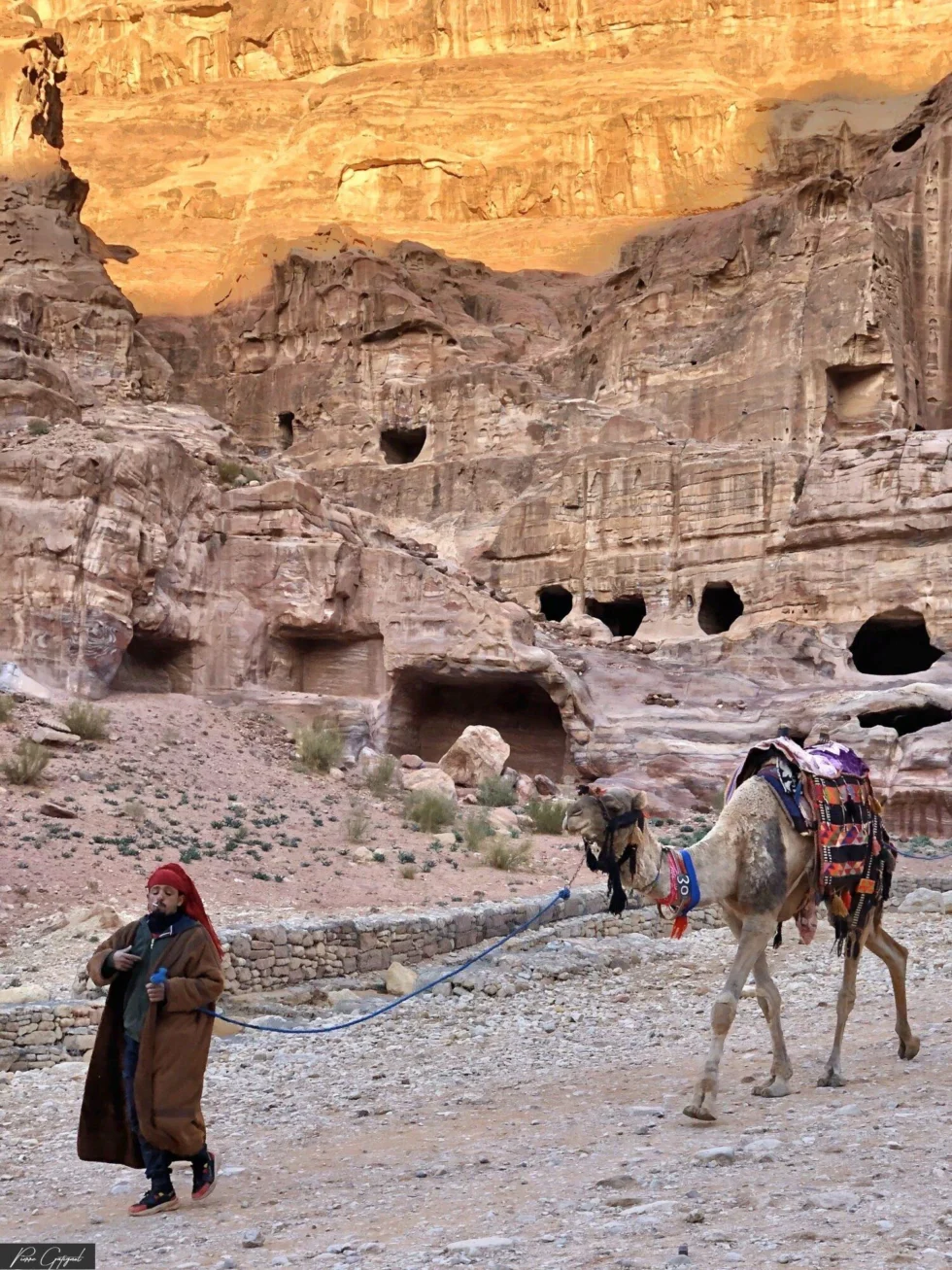 Paysage ou scène de vie en Jordanie