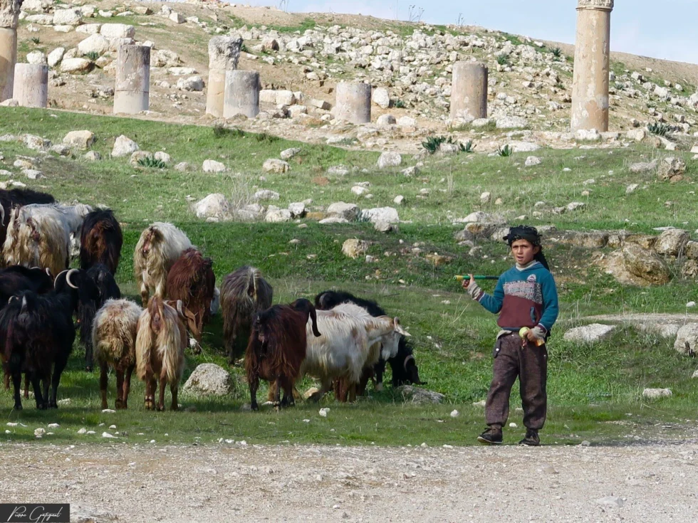 Paysage naturel ou urbain en Jordanie