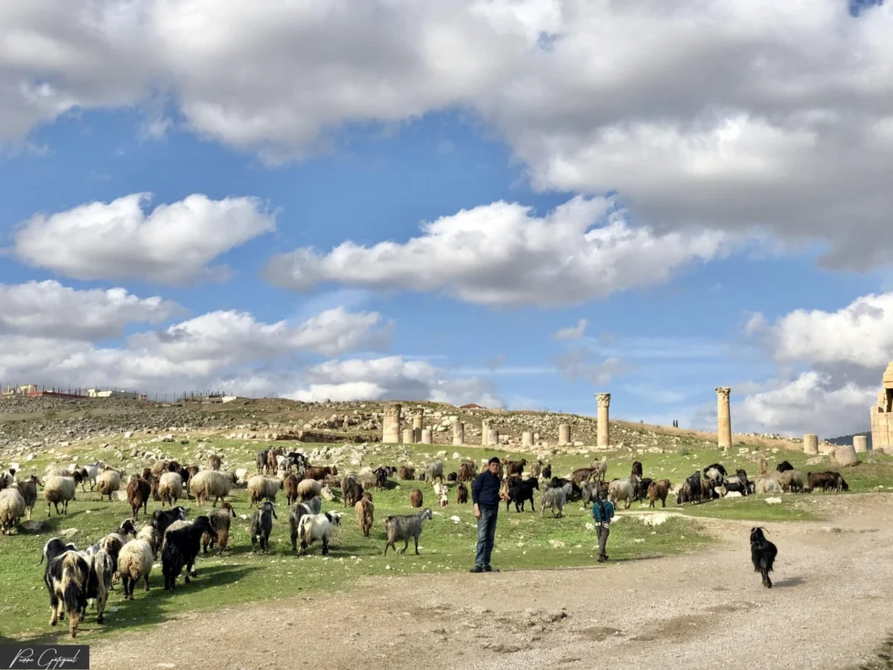 Vue prise lors d’un reportage en Jordanie