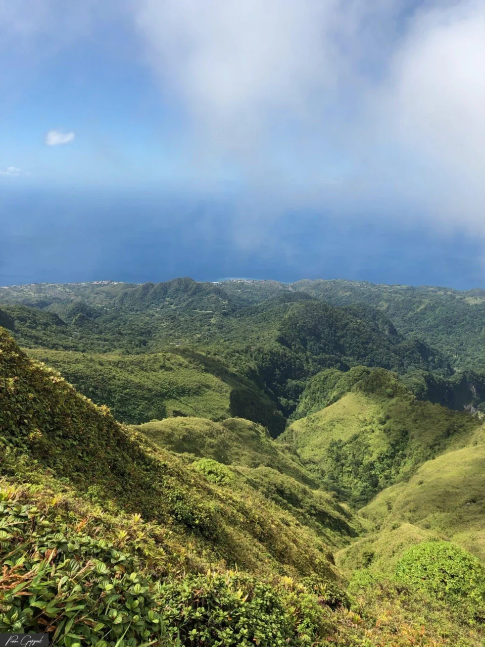 Image issue d’un reportage photographique en Martinique