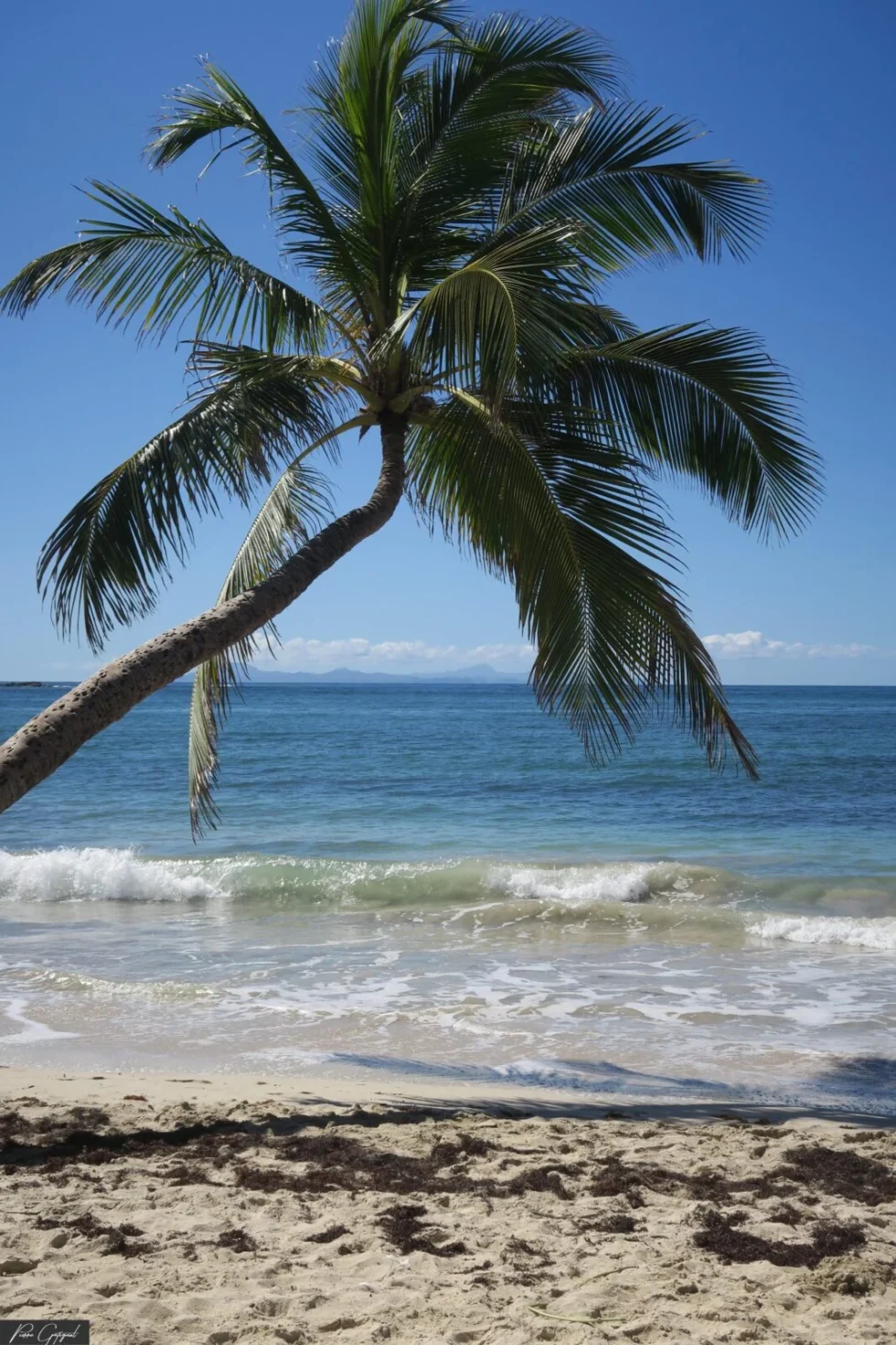 Scène de reportage réalisée en Martinique