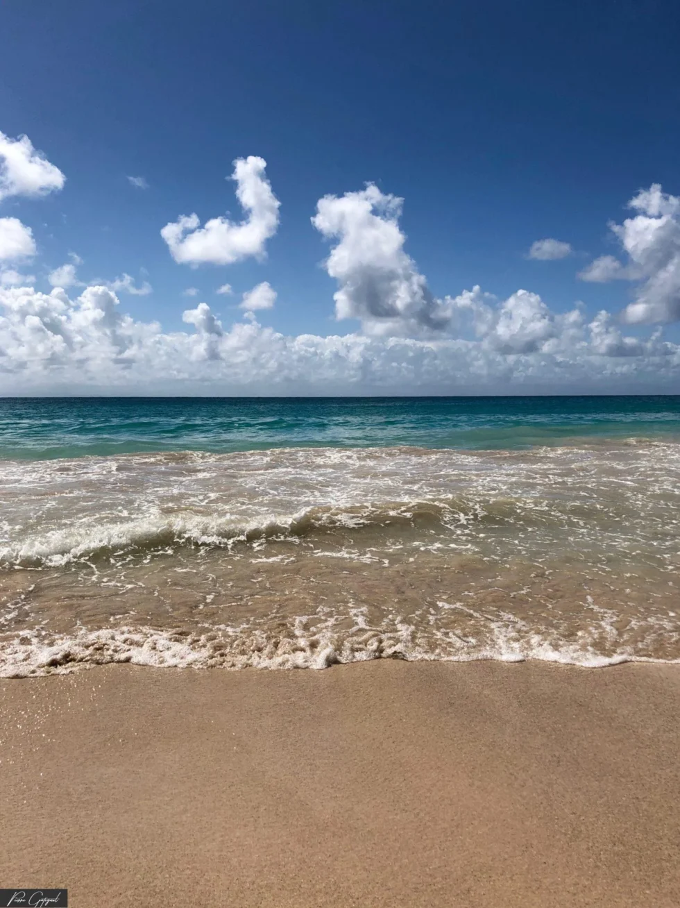 Scène de reportage en Martinique