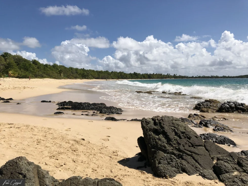 Scène de voyage en Martinique