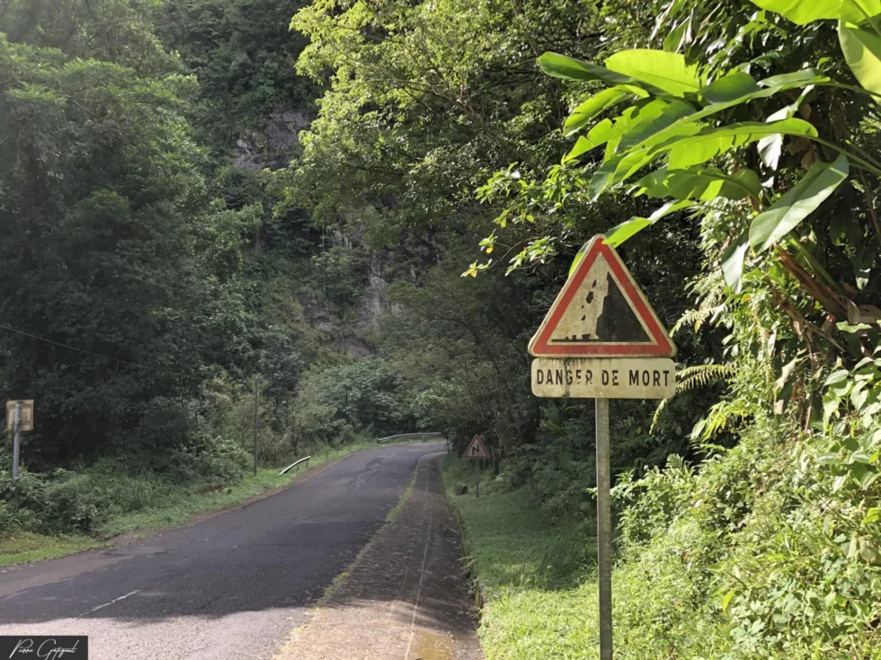 Scène capturée lors d’un reportage en Martinique