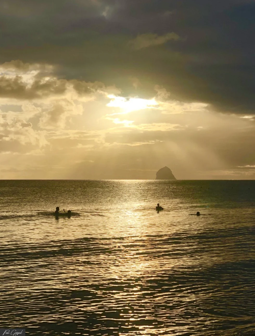 Moment capturé lors d’un reportage en Martinique