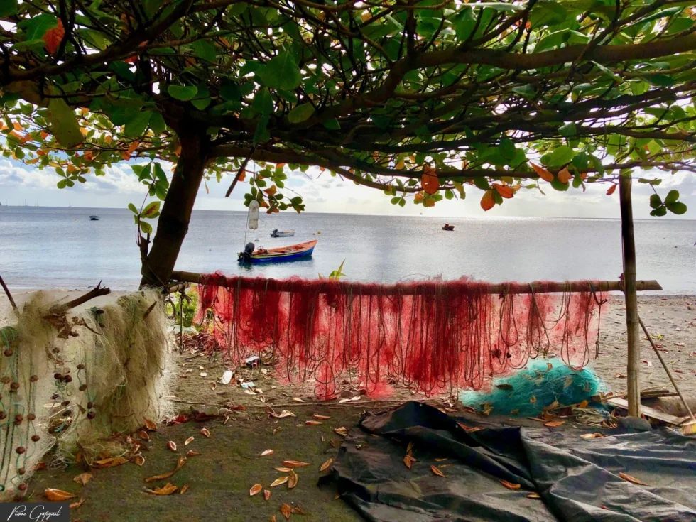 Vue réalisée en Martinique