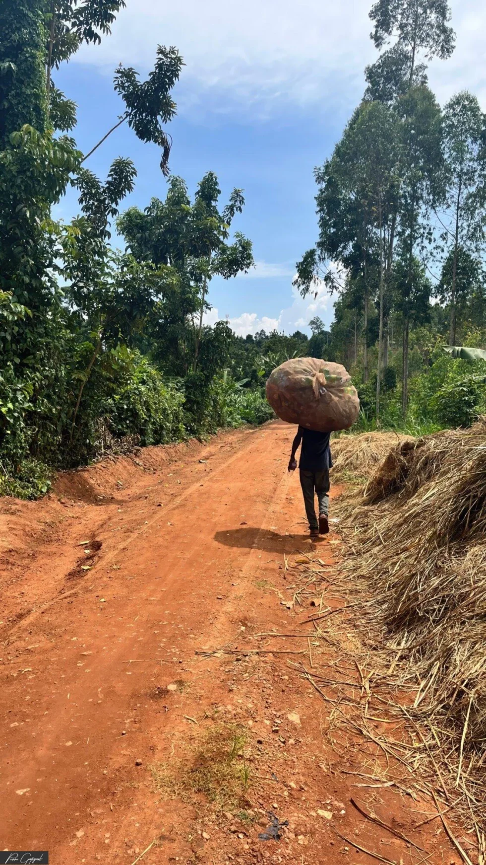 Ambiance captée lors d’un repérage en Ouganda