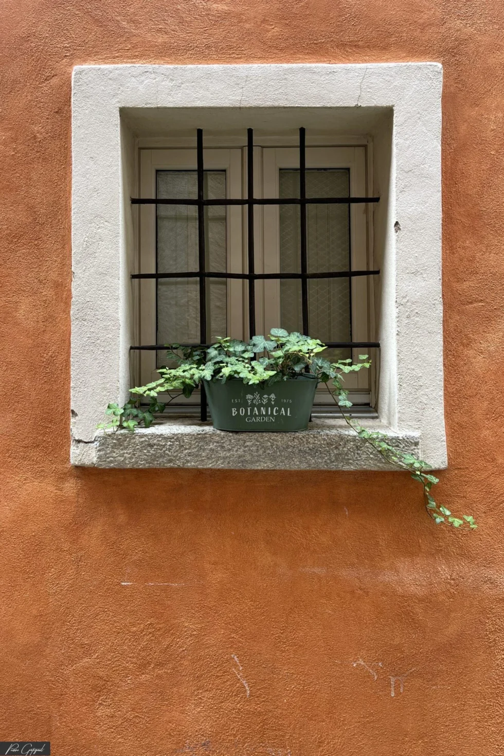 Photographie de reportage du portfolio à Vichy